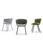 Assise – PHOENIX – OFFECCT 2