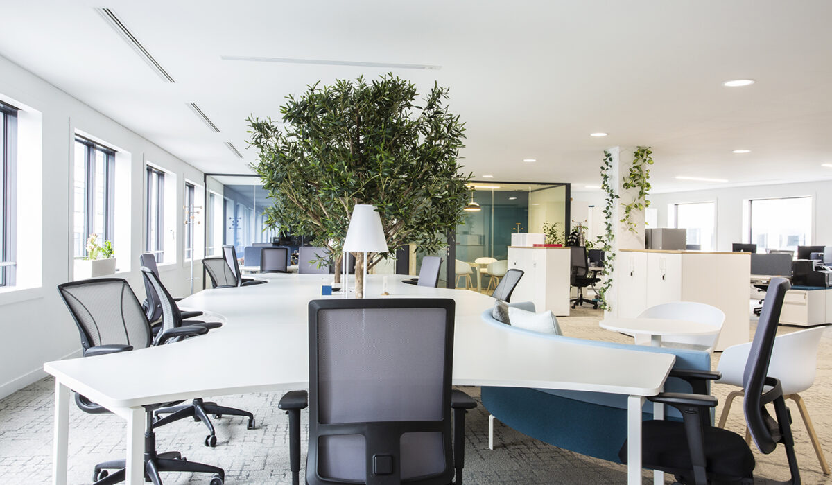 AXYS CONSULTANTS - Espaces de travail fonctionnels et design  - Hauts-de-Seine (92) (2)