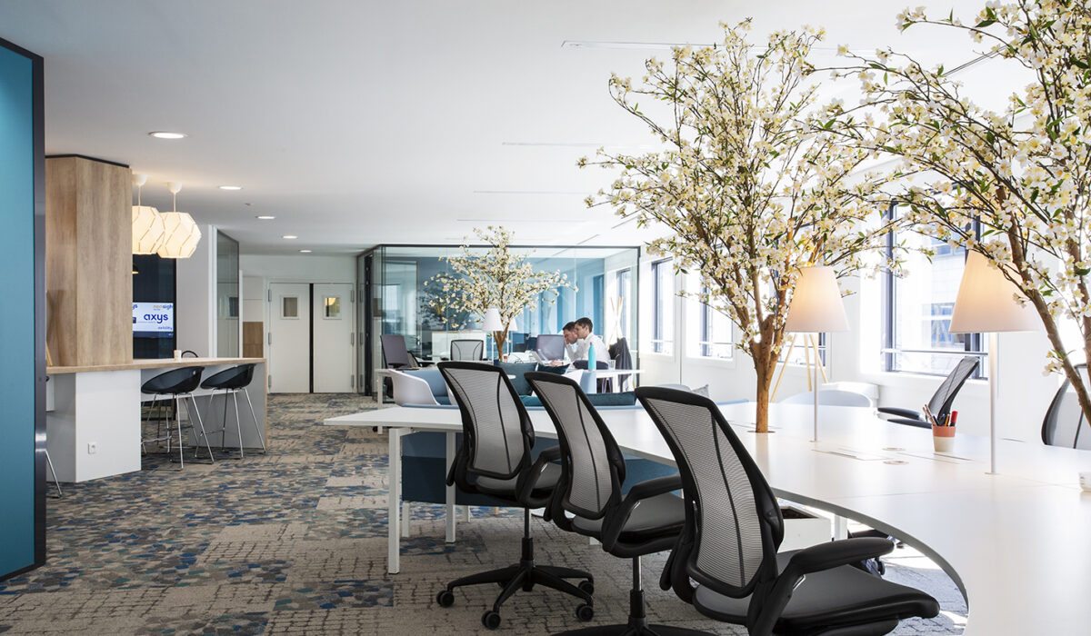 AXYS CONSULTANTS - Espaces de travail fonctionnels et design  - Hauts-de-Seine (92) (23)