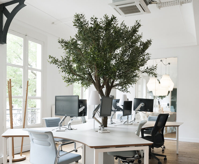 MOORE-bureau-Organic-01