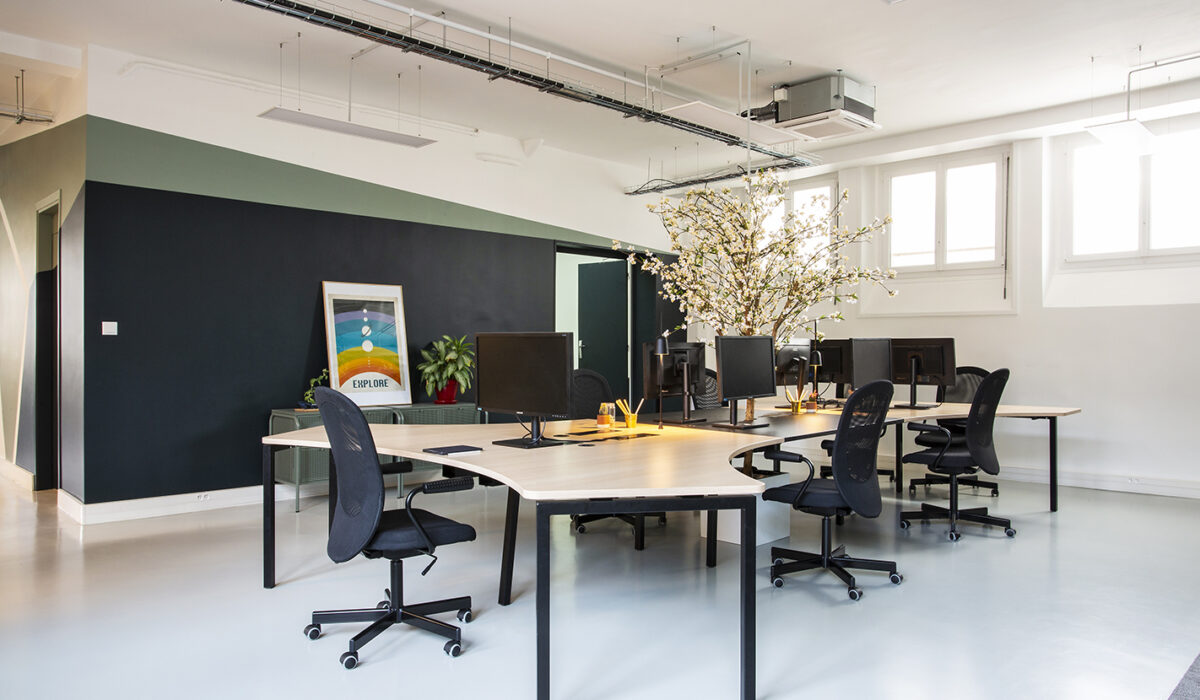 NEOXIA - Flex offices au style végétal et design - PARIS (75) (14)