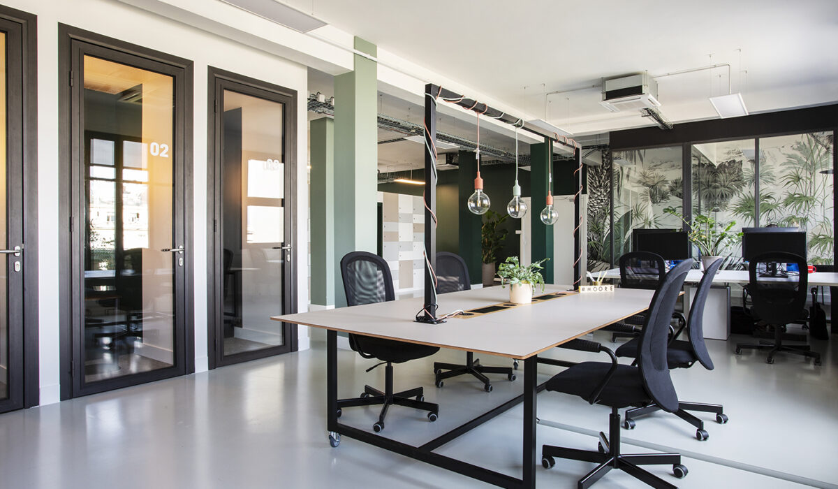 NEOXIA - Flex offices au style végétal et design - PARIS (75) (1)