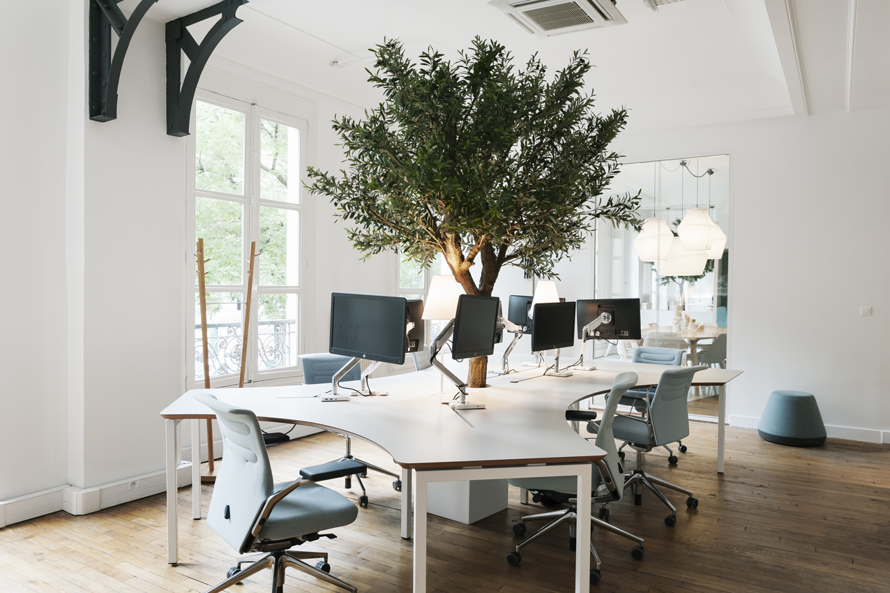 Aménagement d'espace de travail avec le Bench Organic - MOORE Edition