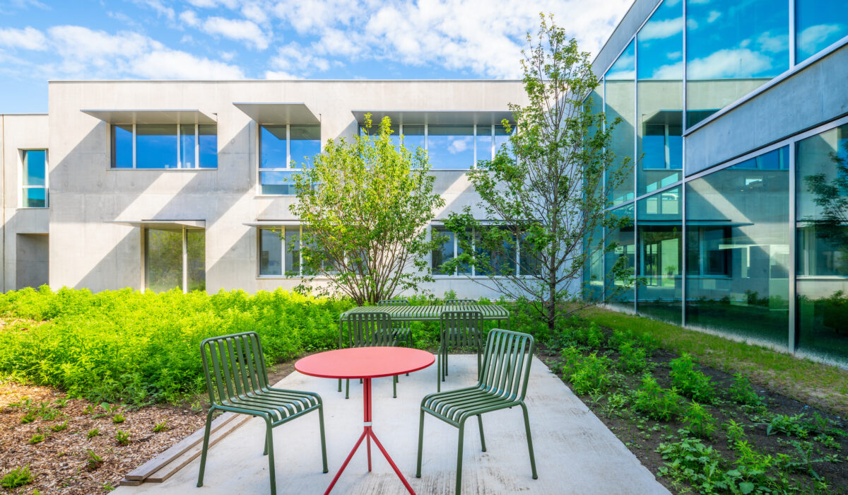 LESAFFRE - Aménagement des espaces collaboratifs, bureaux individuels, des salles de réunion et terrasses extérieures - Lille - Lesaffre  - LILLE (3)