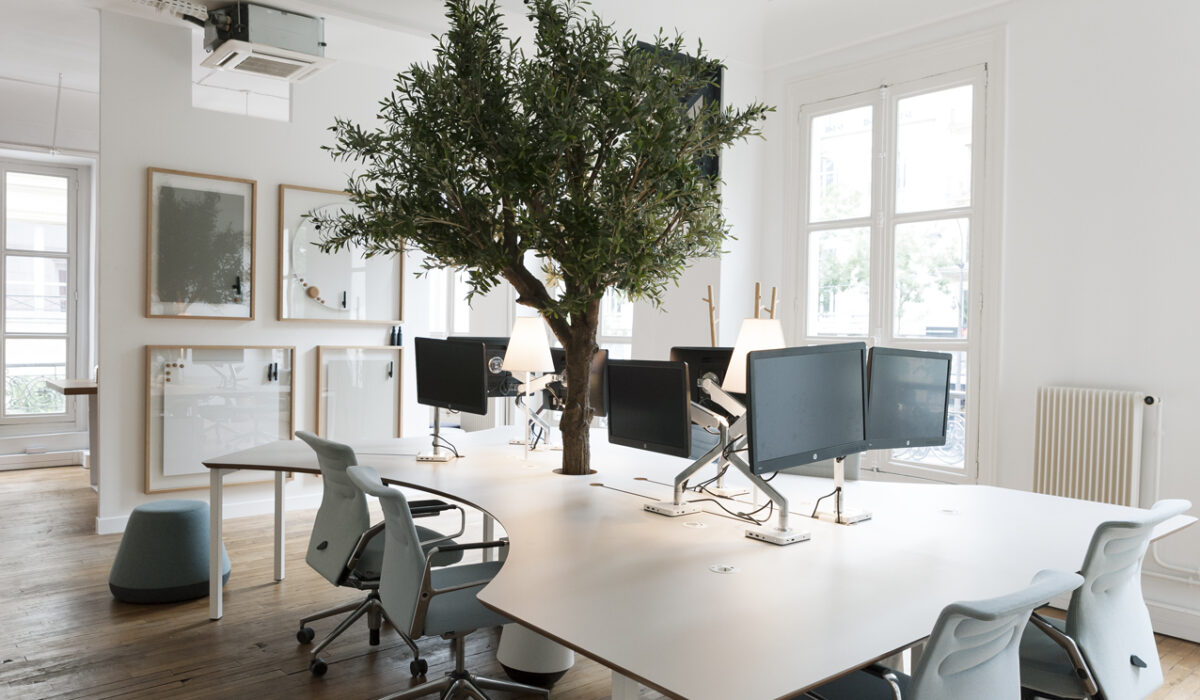 MOORE bureau Organic 04