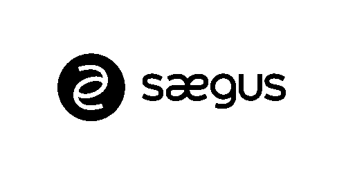 61e058439a595813d2abc0d3_saegus-min