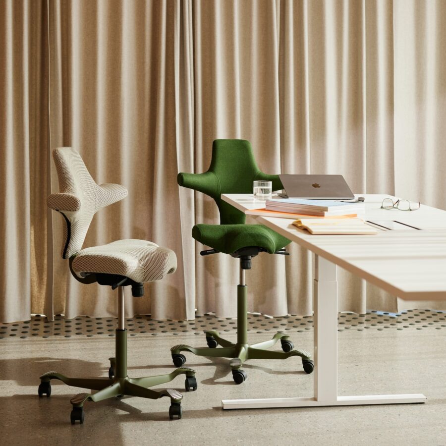 HAG-Capisco-Office_Bow_013