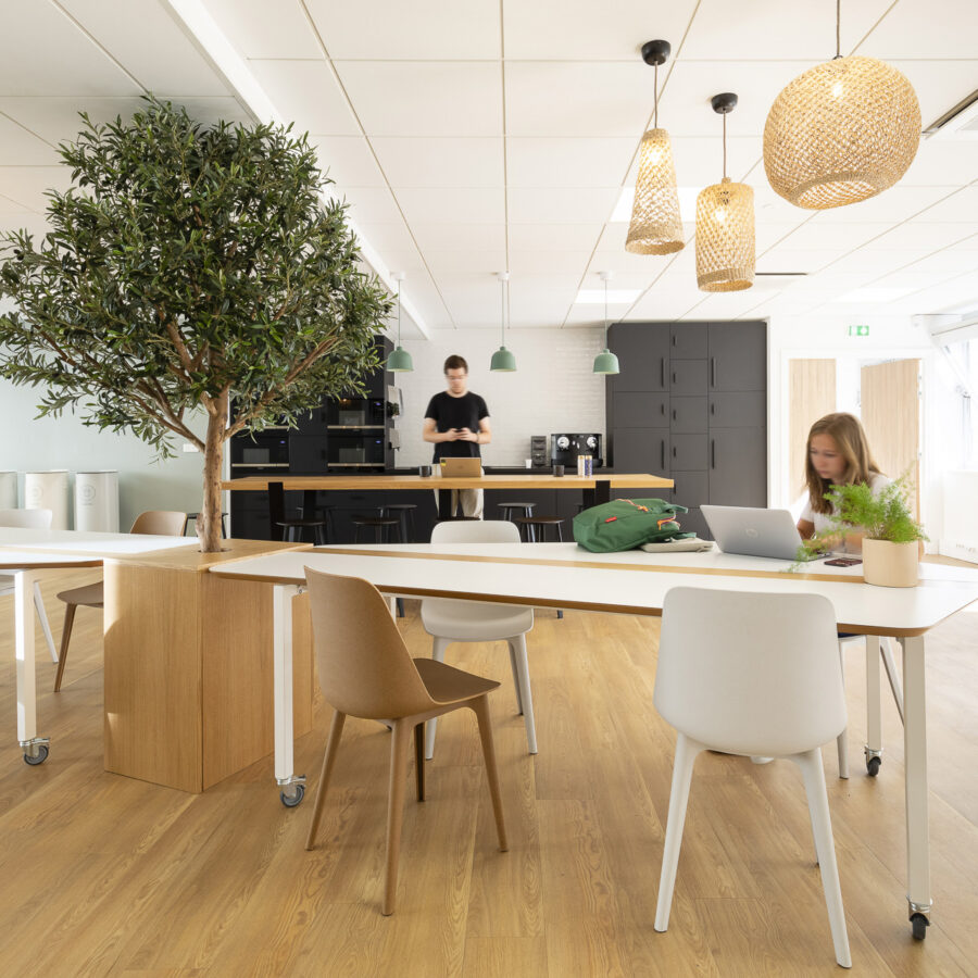 collection MOORE table Poly vue generale 1