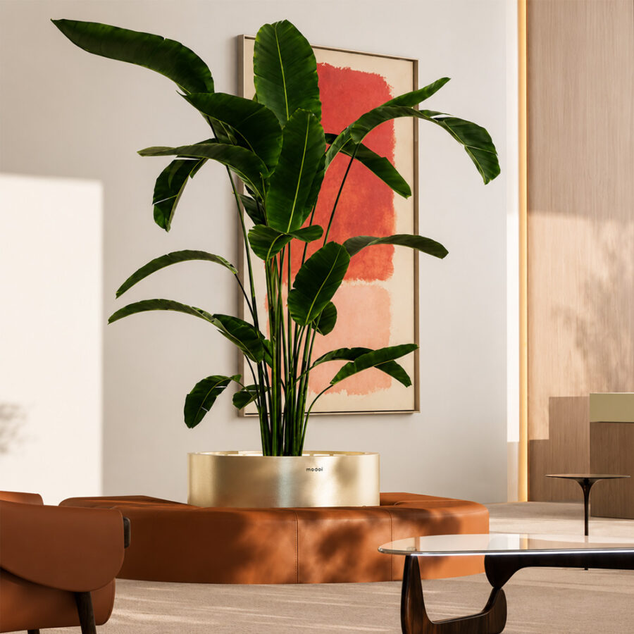 JARDINIERE LED TANK - MAZU, Mobilier Design Hôtel & Retail (5)